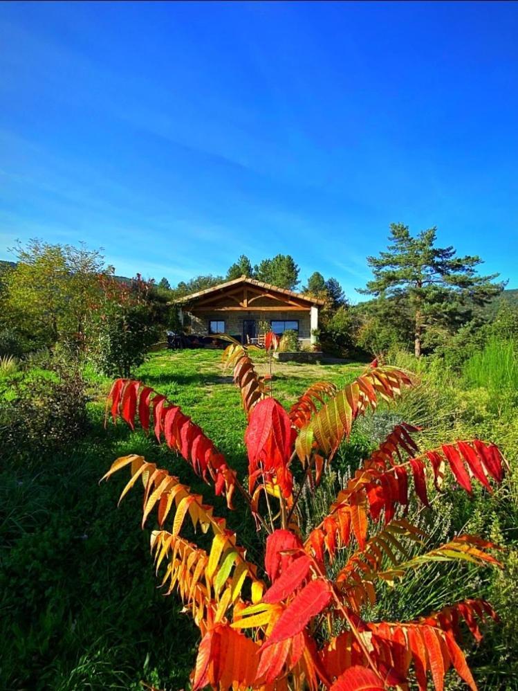 Gite L'Or Des Cevennes Saint-Andre-Capceze Exterior photo